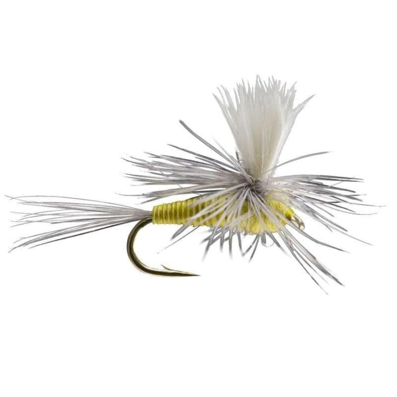 Quill Body Parachute – PMD – Size 16