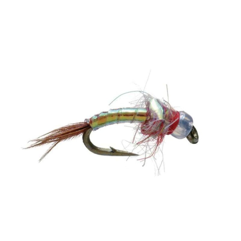 Rainbow Warrior – Pearl – Size 18