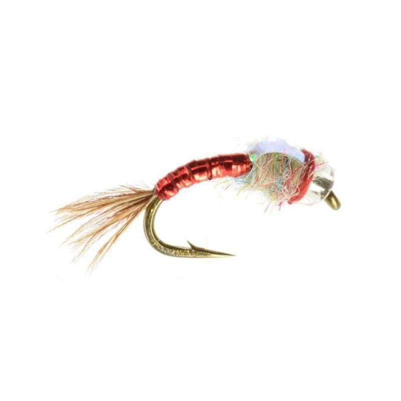 Rainbow Warrior – Red – Size 18