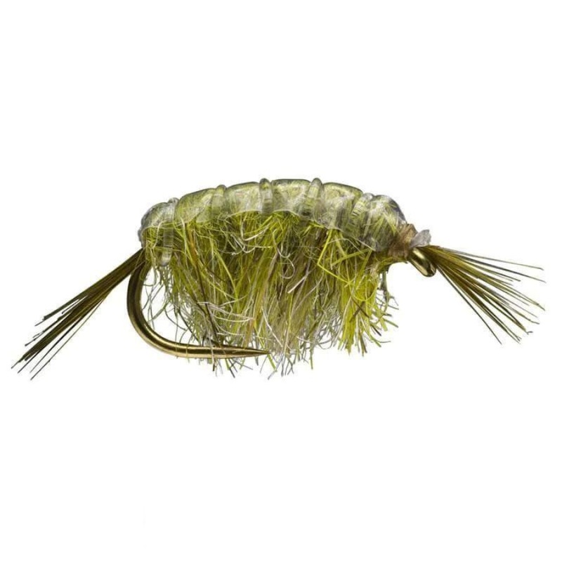 Scud – Dark Olive|Size 12|Size 14