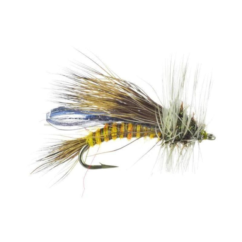 Skwala Little Olive Stone 12