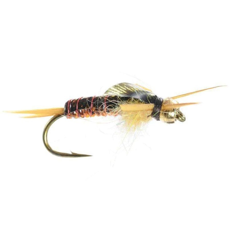 Stone Daddy Amber/Orange – Size 8