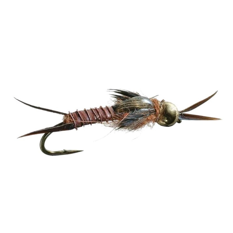 Biot Epoxy Stone – Dark|Size 8|Size 10|Size 12