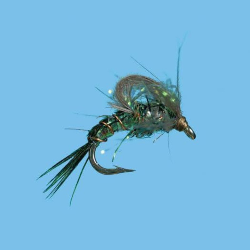 Bubbleback – BWO|Size 18