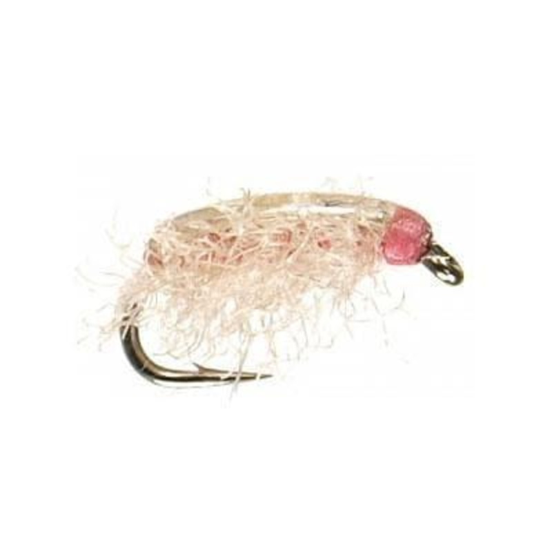Buff Poxyback Sowbug – Size 16