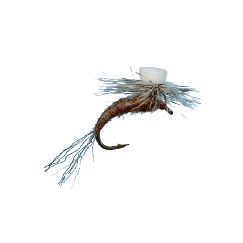 Callibaetis Sprout – Size 16|Size 16