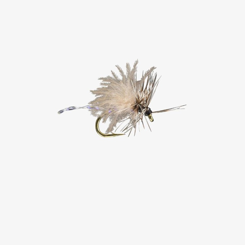 Caviar Midge – Gray – Size 18|Size 18
