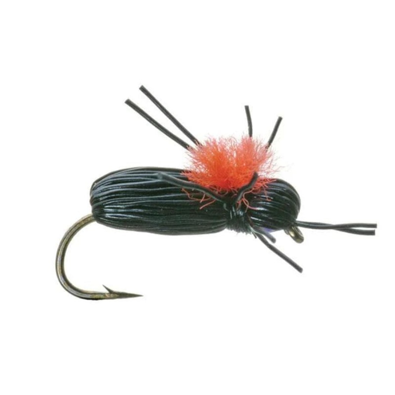 Dave’s Black Beetle|Size 14|Size 16