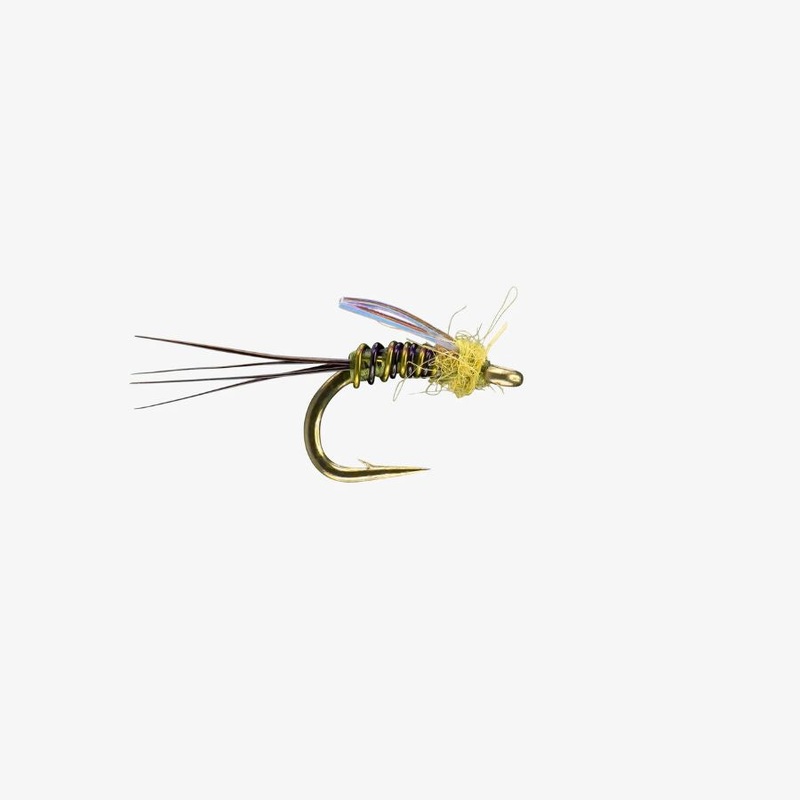 Flashover – Olive – Size 20|Size 20