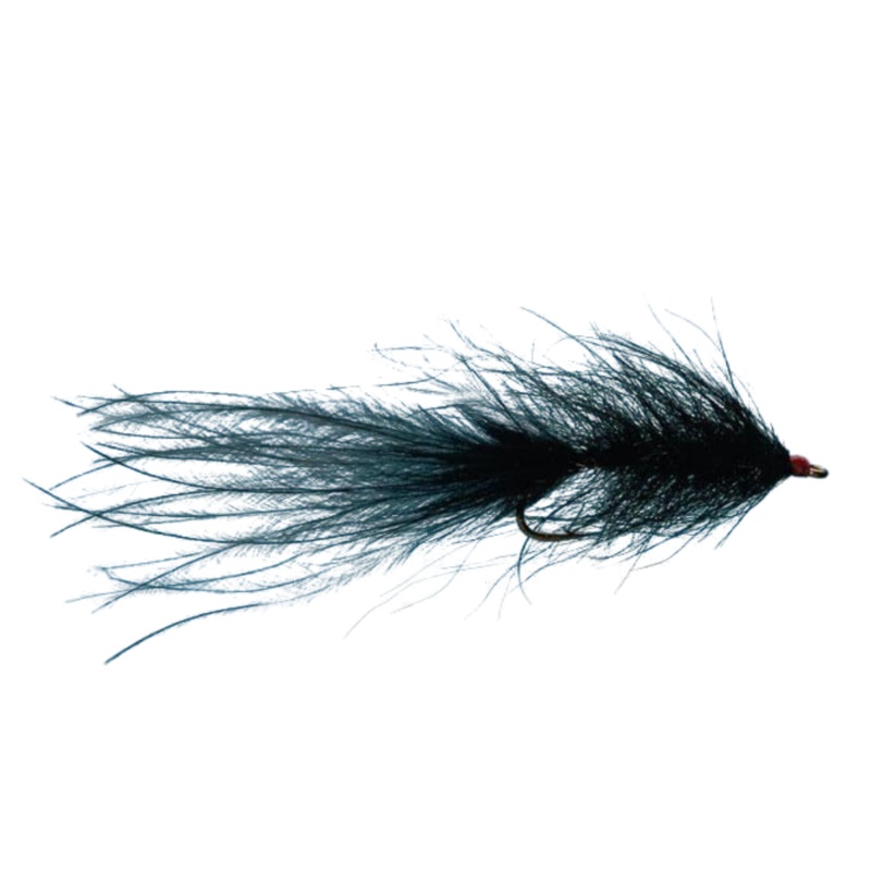 Hale Bopp Leech – Black – Size 10