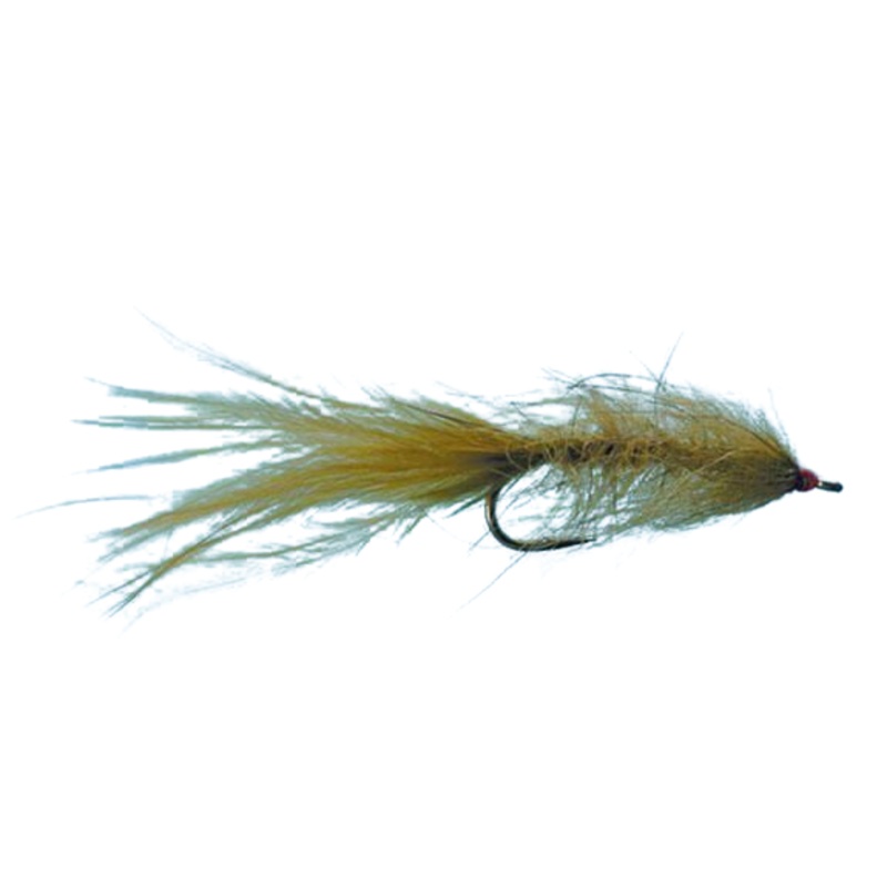 Hale Bopp Leech – Olive – Size 10