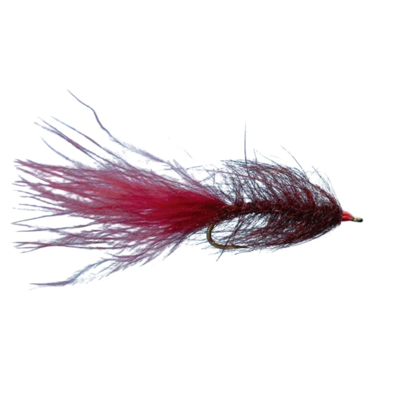 Hale Bopp Leech – Wine – Size 10