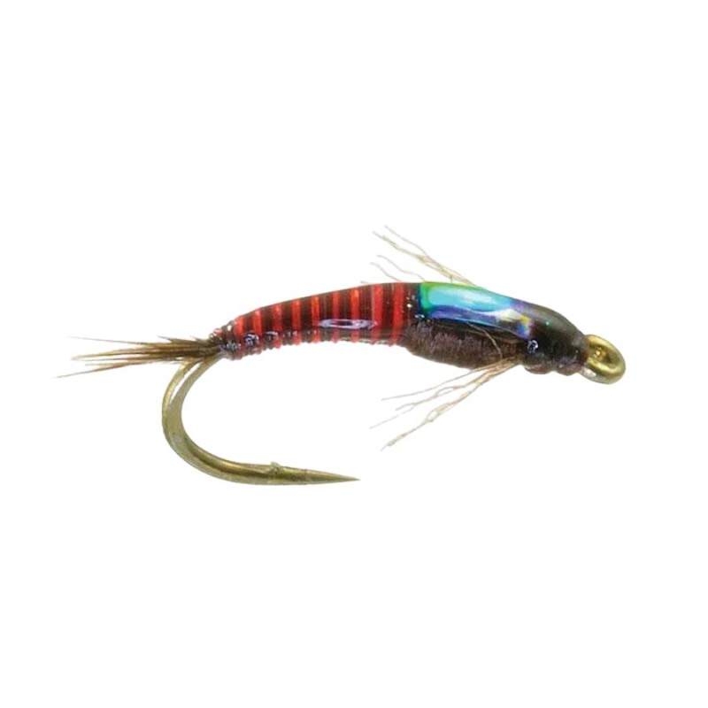 Juju – PMD|Size 16