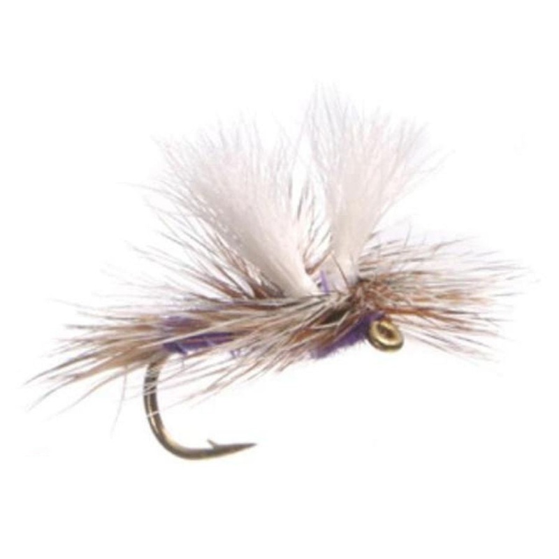 ParaWulff – Purple|Size 12|Size 14|Size 16