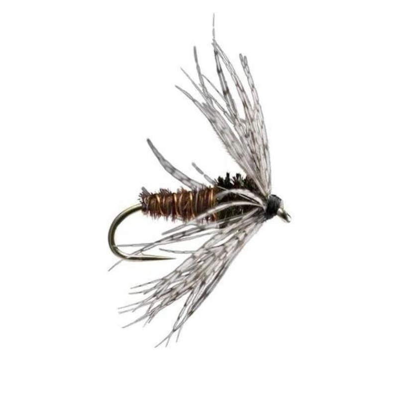 Partridge Soft Hackle – Pheasant