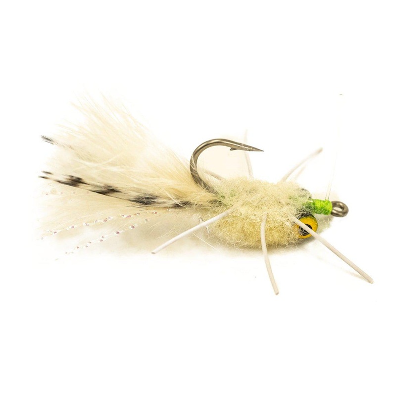 Rag Head Crab – Cream|Size 2|Size 4