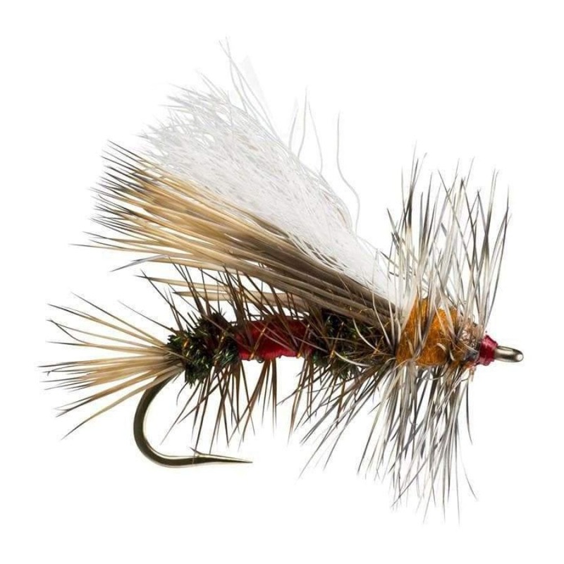 Royal Stimulator|Size 12|Size 14|Size 16