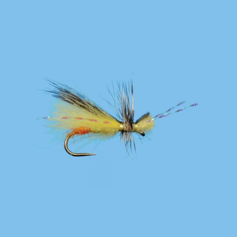 Sexy Yellow Sally – Size 16|Size 16