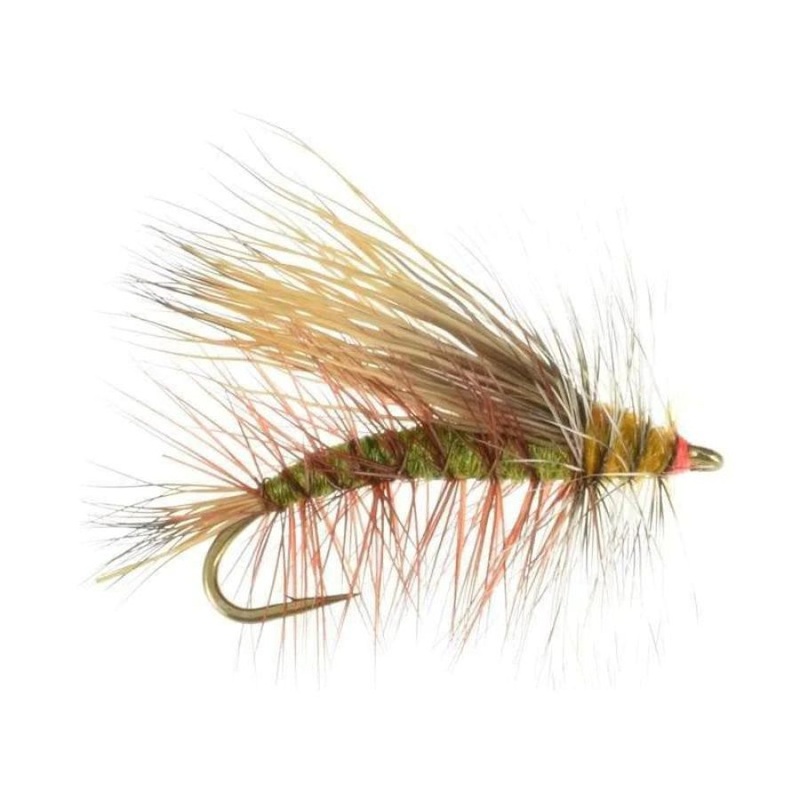 Stimulator – Olive|Size 12|Size 14|Size 16