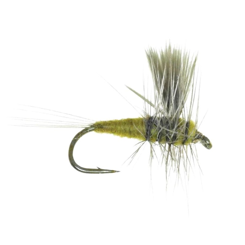 Thorax PMD|Size 16