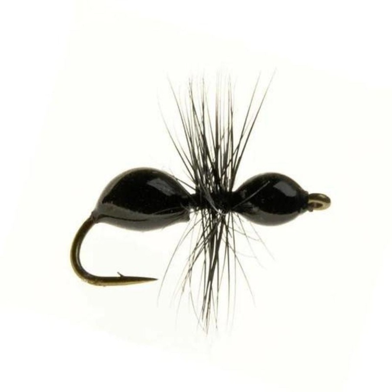 Transparants – Black|Size 14|Size 16