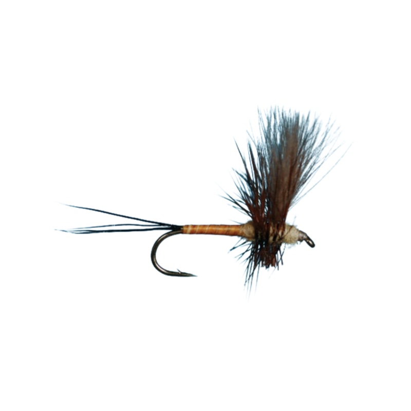Brown Drake CDC Thorax – Size 10