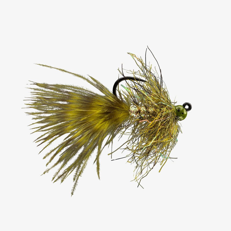 Gold Jigger – Olive – Size 10|Size 10