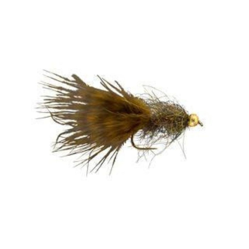 Jelly Leech – Brown/Olive – Size 8