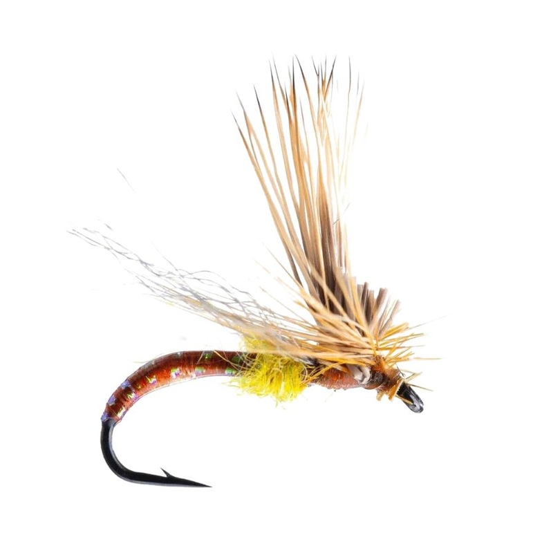 Missing Link – PMD – Size 16|Size 16