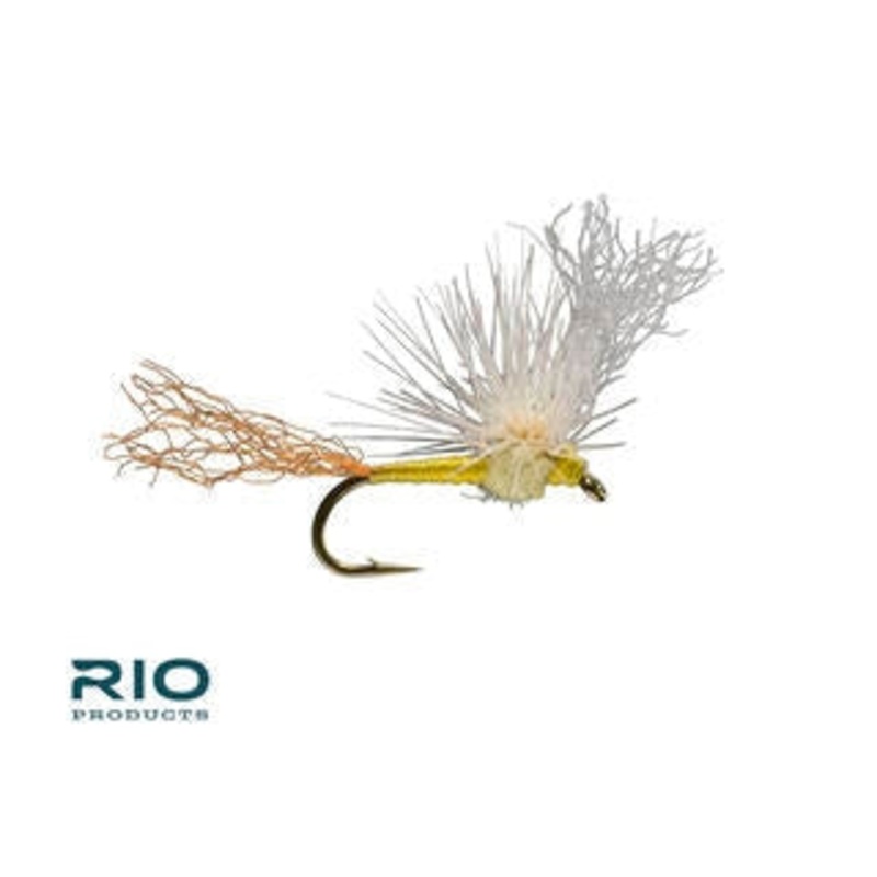 Sparkle Flag – PMD – Size 16|Size 16