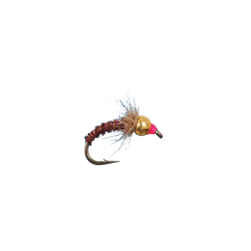 Tungsten Parrot|Size 16|Size 18