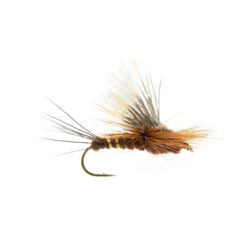 Majestic AF – Brown Drake – Size 8