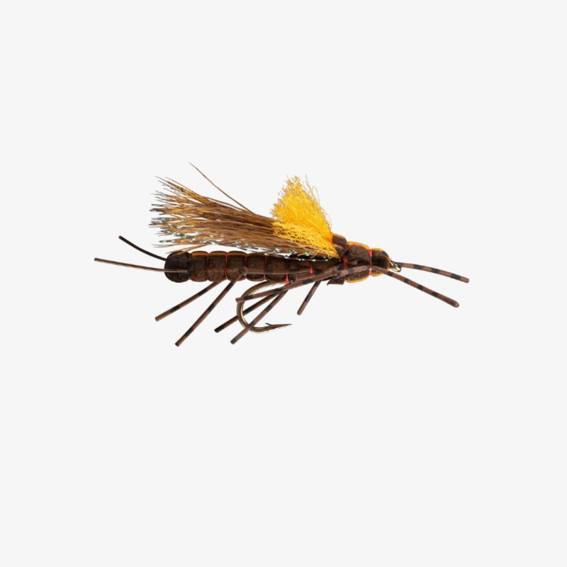 Morrish Fluttering Stone Salmonfly – Size 6