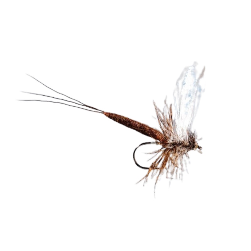 X-Fly Modular Drake – Brown Drake – Size 10