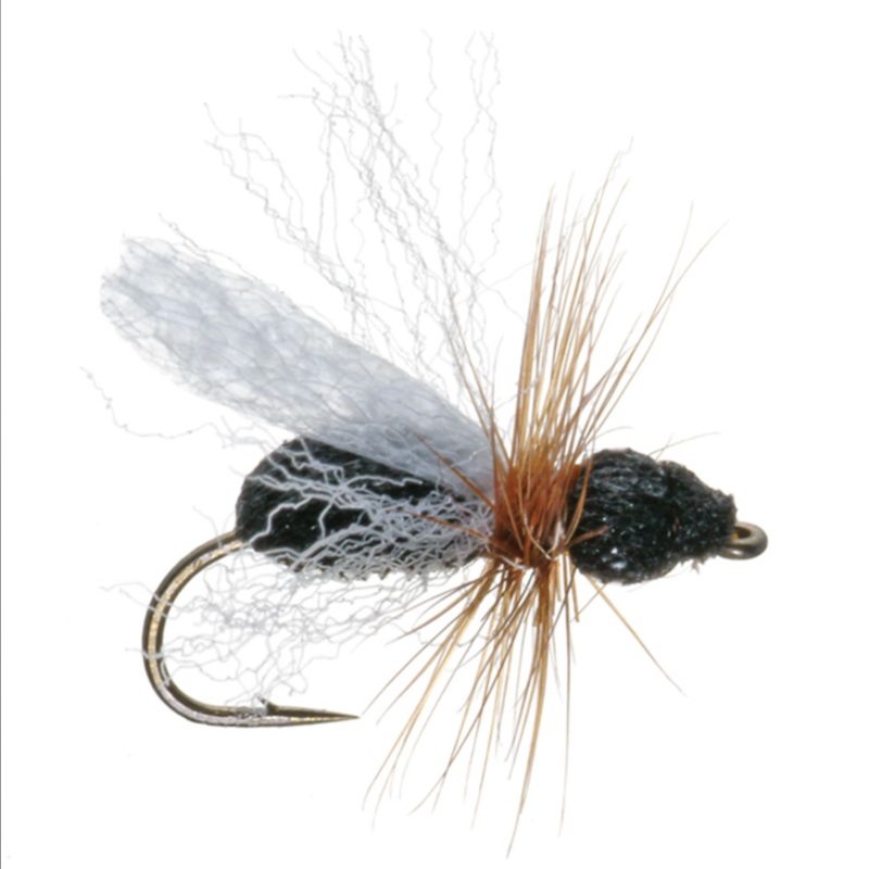 Foam Flying Ant – Black|Size 14|Size 16