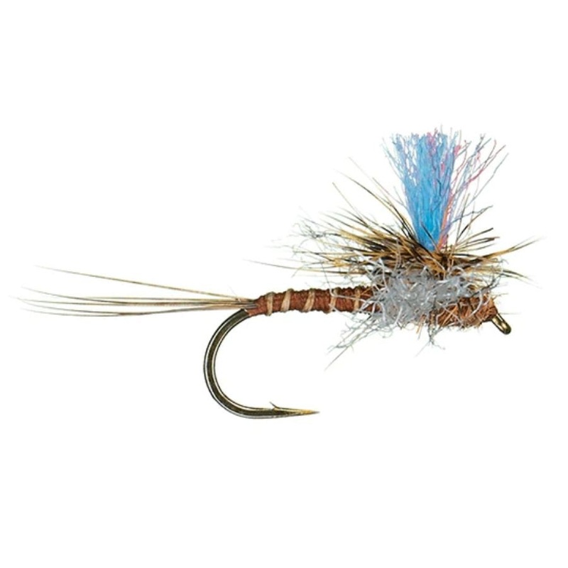 Guide Winna Spinna – Brindle – Size 18