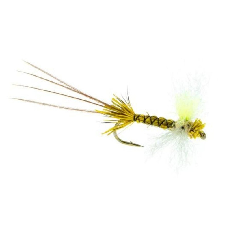 Lighthouse Spinner – Drake – Size 10