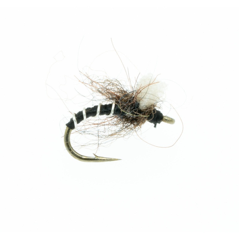 Massacre Midge – Black – Size 18