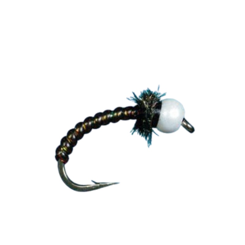 Motor Oil ChironoCones|Size 10|Size 14