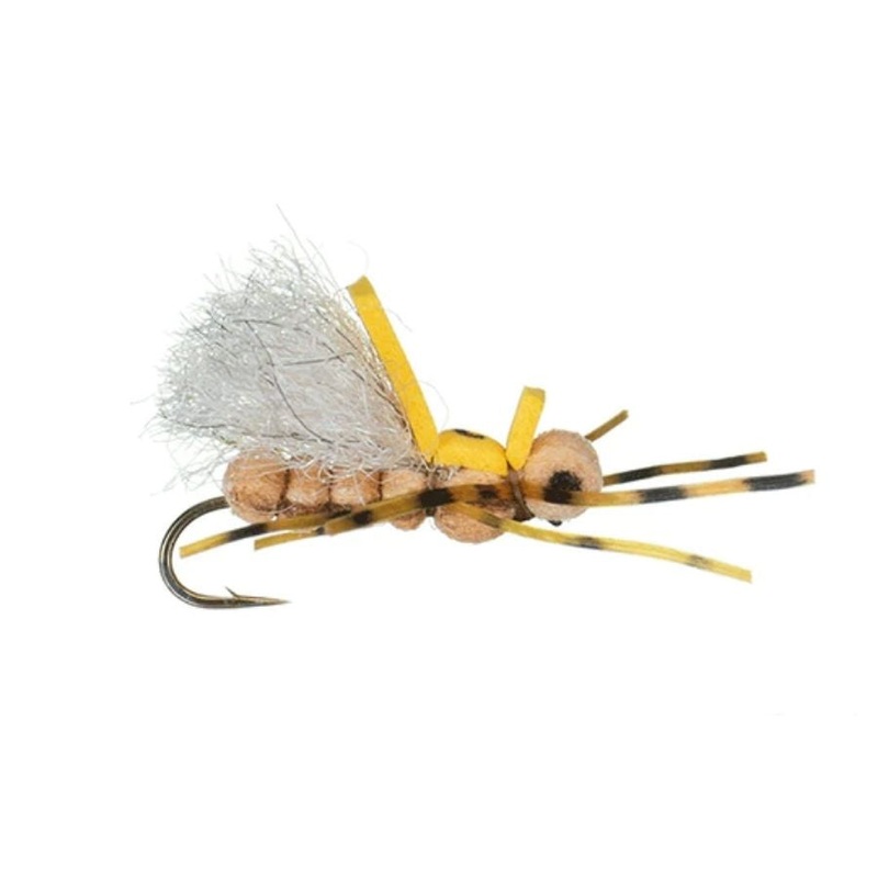 Pavlovich’s Sweet Dream – Peach – Size 12