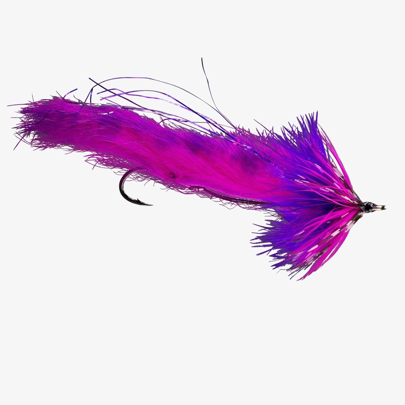 String Leech – Pink/Purple – Size 2