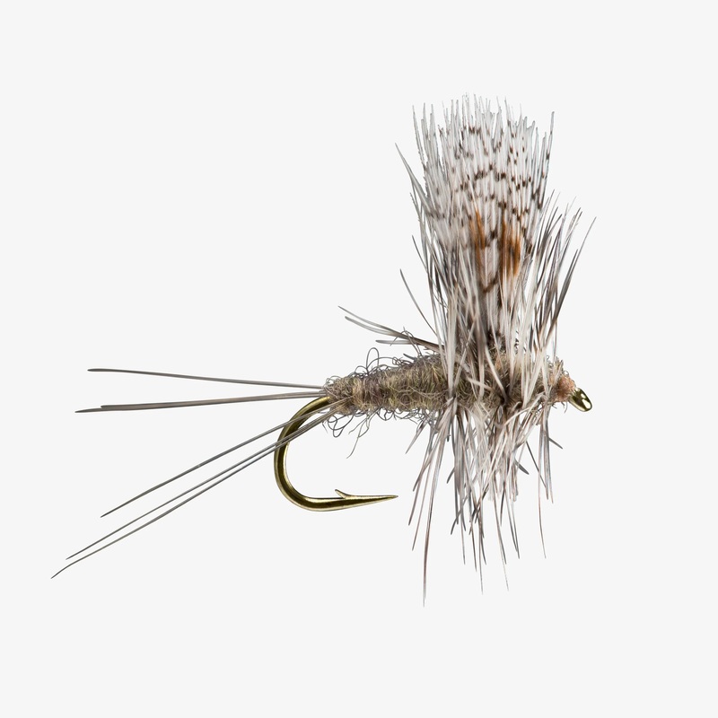 Thorax – Callibaetis|Size 14|Size 16