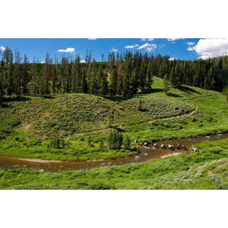 Yellowstone Backcountry Fishing Trips
