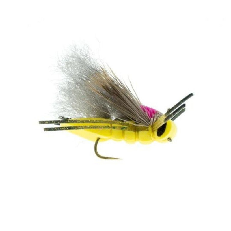 Boy Wonder Hopper Craven – Yellow – Size 8