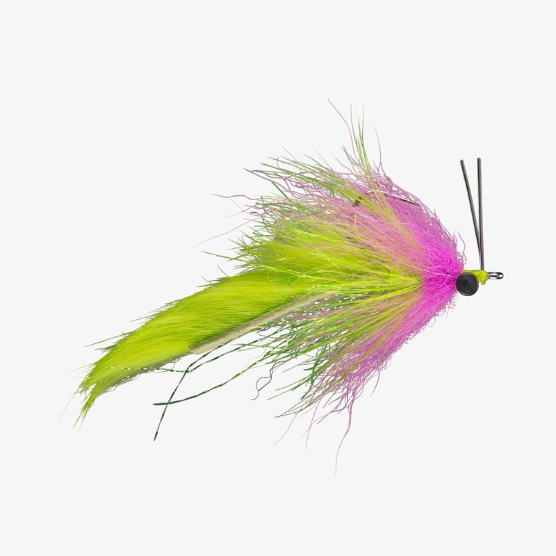 Boyles Swamp Fox – Electric Chicken – Size 1