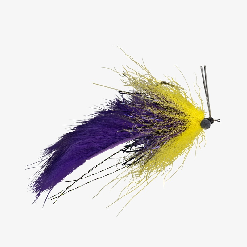 Boyles Swamp Fox – Purple/Yellow – Size 1