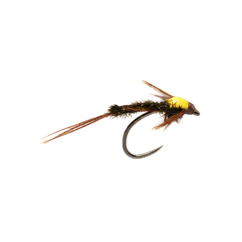Burkus’ Cracked Case PMD – Size 16