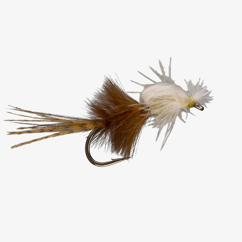 Captive Dun – PMD – Size 18|Size 18