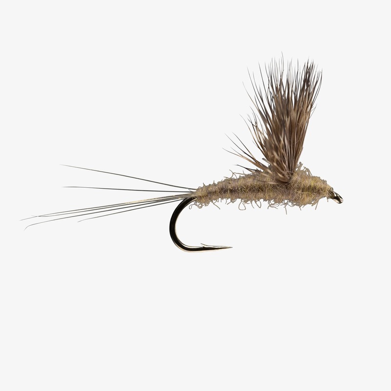 Comparadun – Callibaetis – Size 16