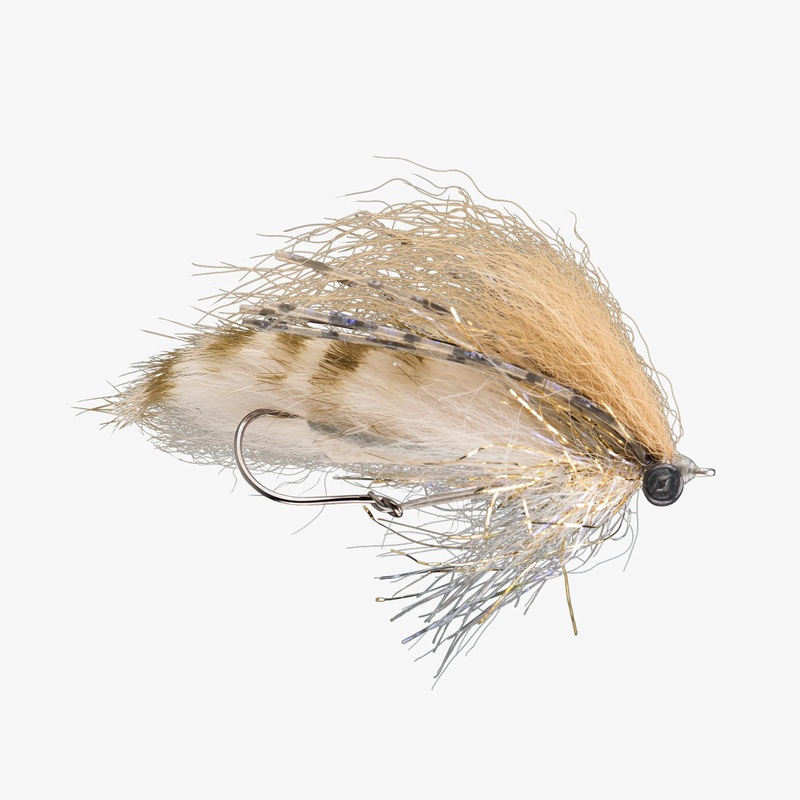 Extrovert – Tan – Size 4|Size 4